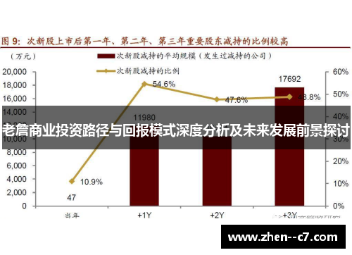 老詹商业投资路径与回报模式深度分析及未来发展前景探讨 老詹商业投资路径与回报模式深度分析及未来发展前景探讨