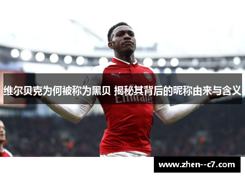 维尔贝克为何被称为黑贝 揭秘其背后的昵称由来与含义