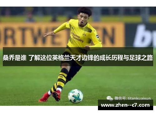 桑乔是谁 了解这位英格兰天才边锋的成长历程与足球之路 桑乔是谁 了解这位英格兰天才边锋的成长历程与足球之路