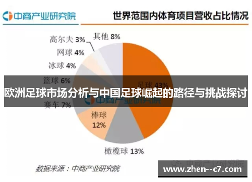 欧洲足球市场分析与中国足球崛起的路径与挑战探讨