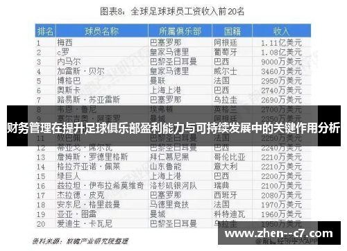 财务管理在提升足球俱乐部盈利能力与可持续发展中的关键作用分析 财务管理在提升足球俱乐部盈利能力与可持续发展中的关键作用分析